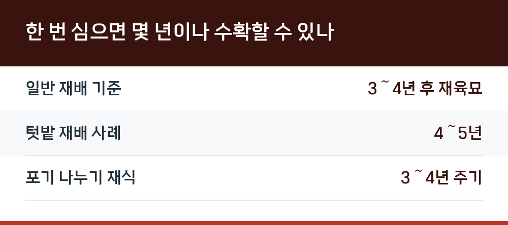 한 번 심으면 몇 년이나 수확할 수 있나