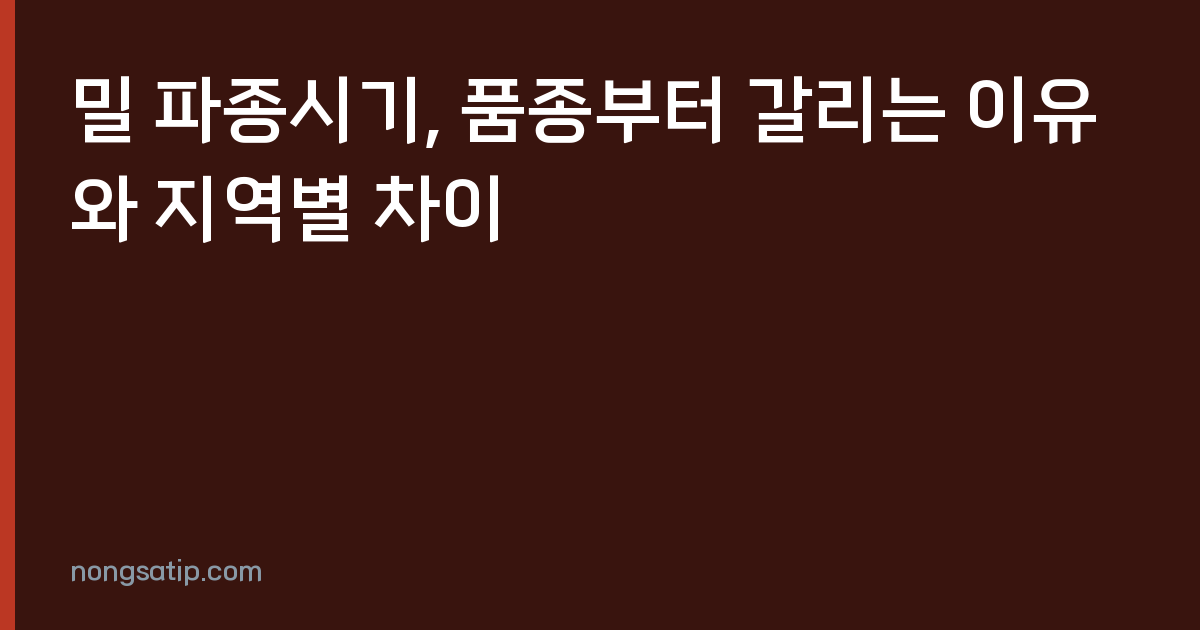 밀 파종시기, 품종부터 갈리는 이유와 지역별 차이