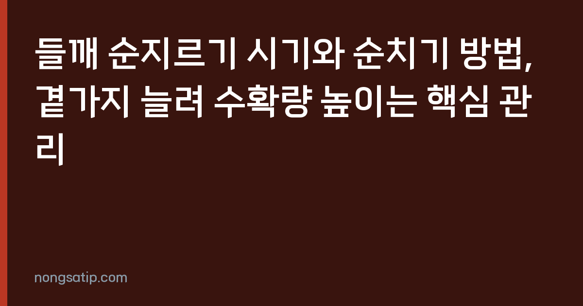 들깨 순지르기 시기와 순치기 방법, 곁가지 늘려 수확량 높이는 핵심 관리