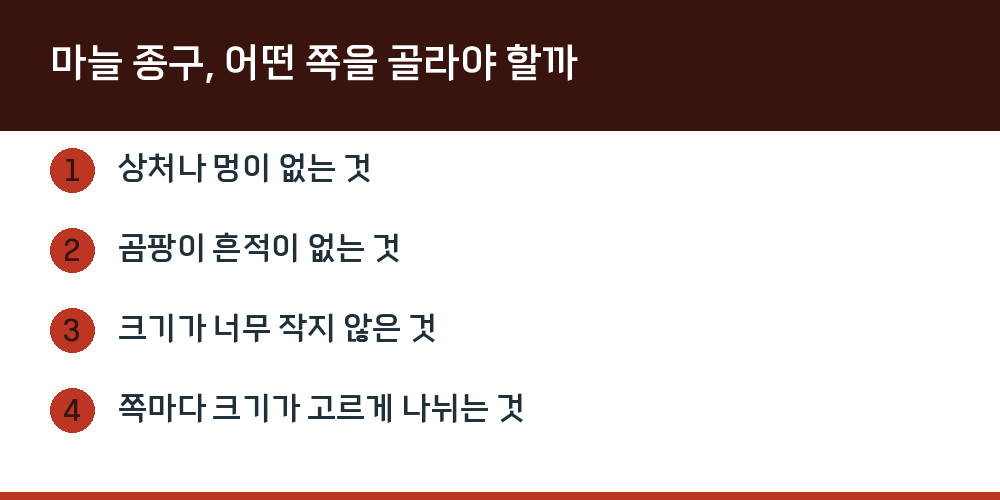 마늘 종구, 어떤 쪽을 골라야 할까