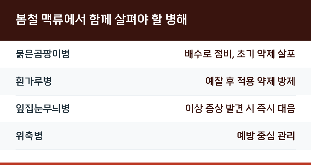 봄철 맥류에서 함께 살펴야 할 병해