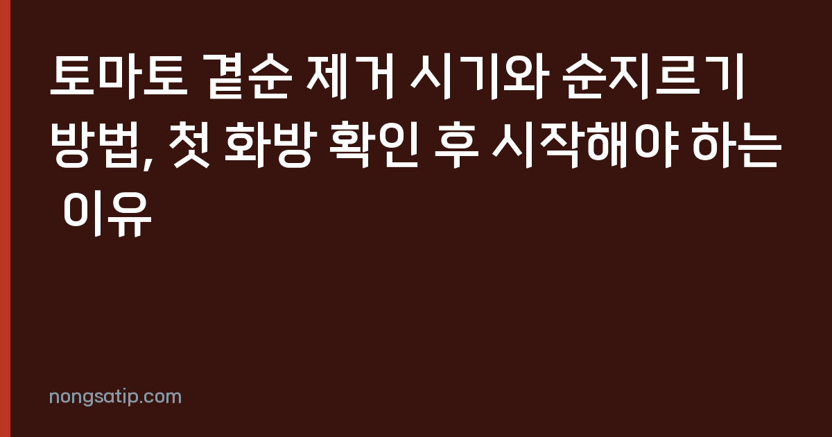 토마토 곁순 제거 시기와 순지르기 방법, 첫 화방 확인 후 시작해야 하는 이유