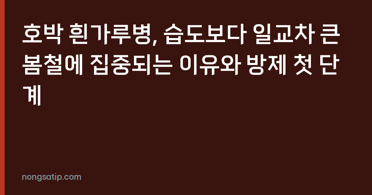 호박 흰가루병, 습도보다 일교차 큰 봄철에 집중되는 이유와 방제 첫 단계