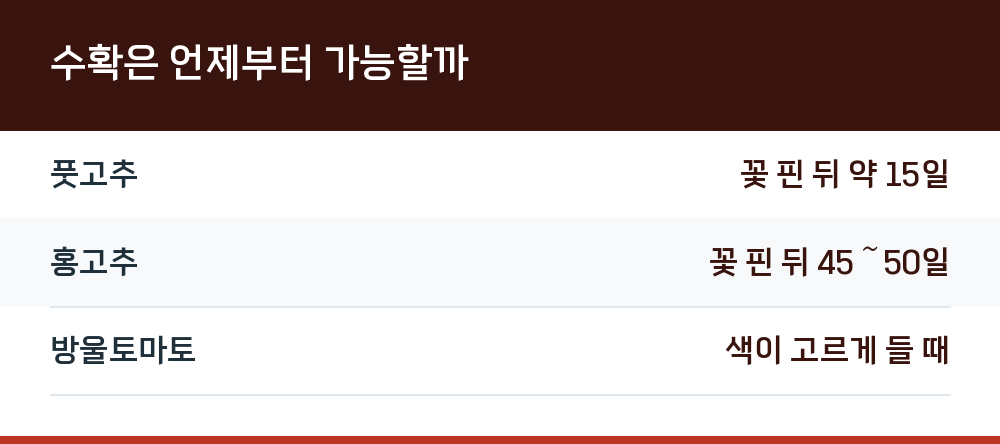 수확은 언제부터 가능할까