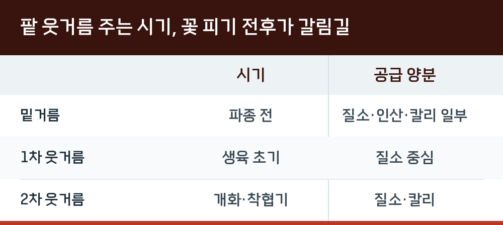 팥 웃거름 주는 시기, 꽃 피기 전후가 갈림길