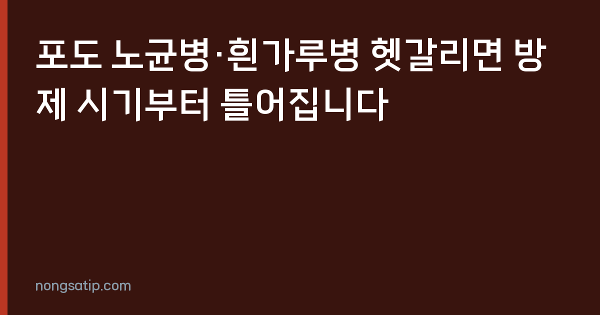 포도 노균병·흰가루병 헷갈리면 방제 시기부터 틀어집니다