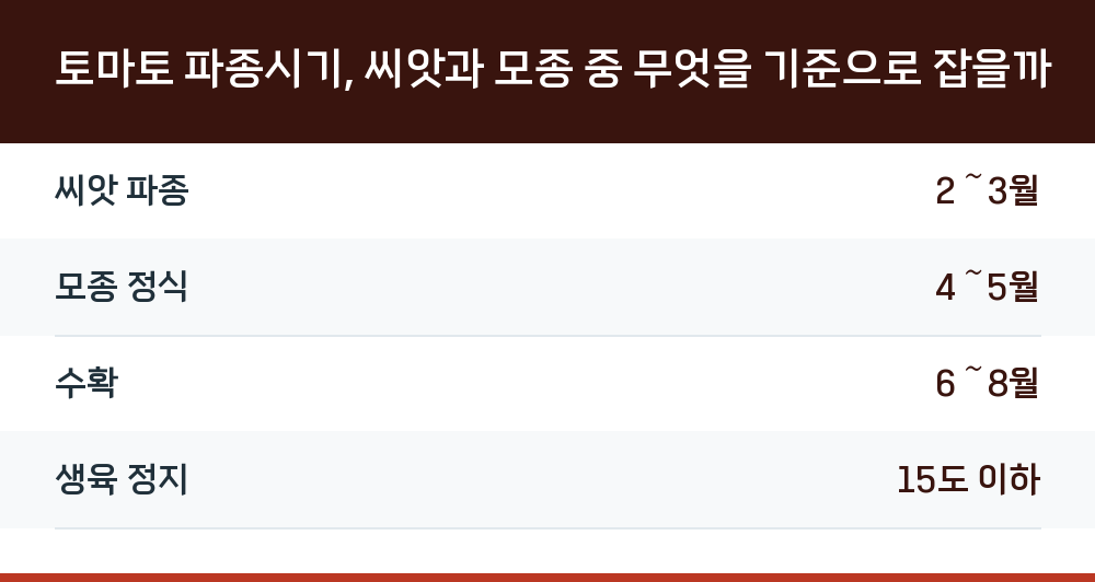 토마토 파종시기, 씨앗과 모종 중 무엇을 기준으로 잡을까