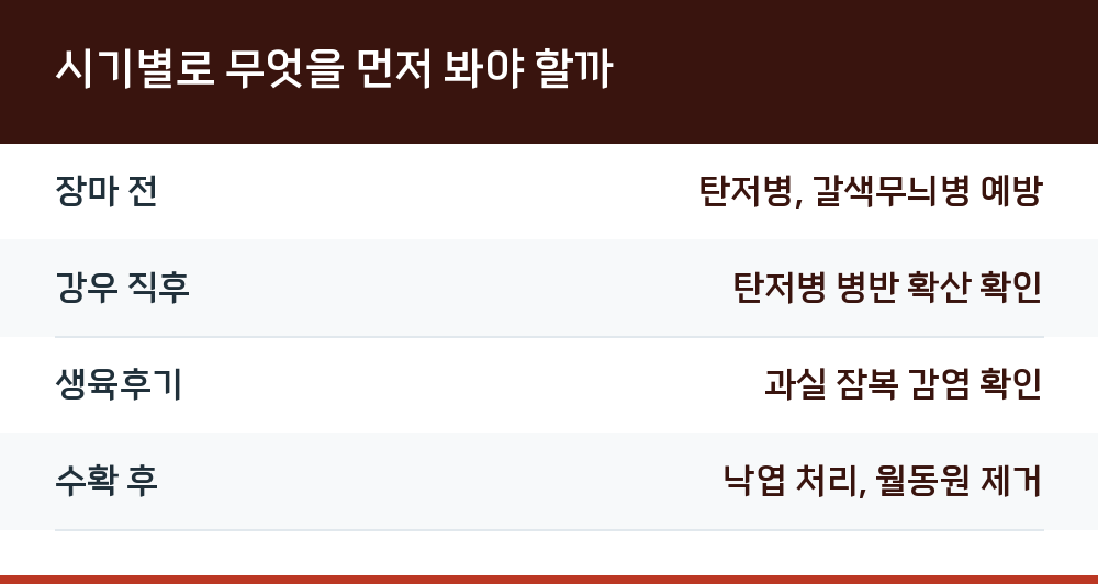 시기별로 무엇을 먼저 봐야 할까