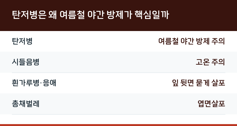 탄저병은 왜 여름철 야간 방제가 핵심일까