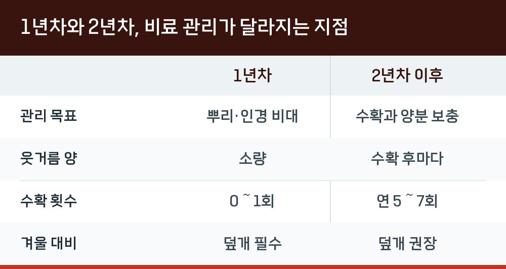 1년차와 2년차, 비료 관리가 달라지는 지점