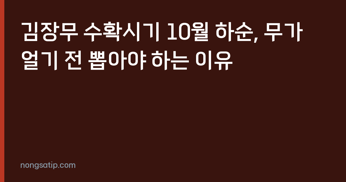 김장무 수확시기 10월 하순, 무가 얼기 전 뽑아야 하는 이유