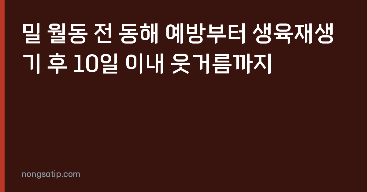밀 월동 전 동해 예방부터 생육재생기 후 10일 이내 웃거름까지