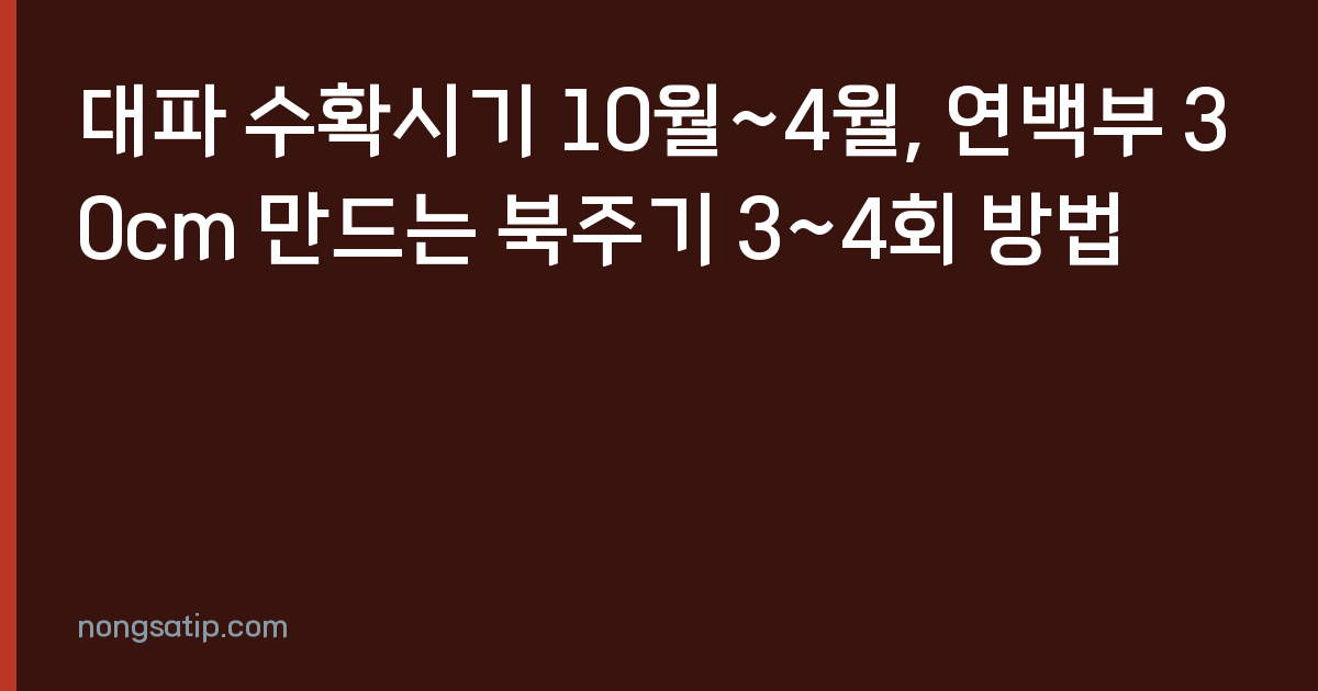 대파 수확시기 10월~4월, 연백부 30cm 만드는 북주기 3~4회 방법
