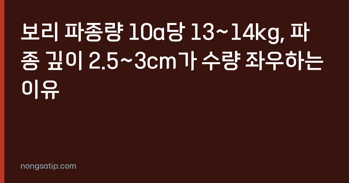 보리 파종량 10a당 13~14kg, 파종 깊이 2.5~3cm가 수량 좌우하는 이유