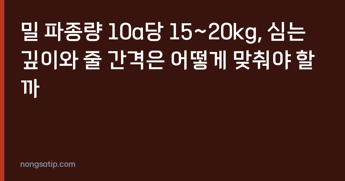 밀 파종량 10a당 15~20kg, 심는 깊이와 줄 간격은 어떻게 맞춰야 할까