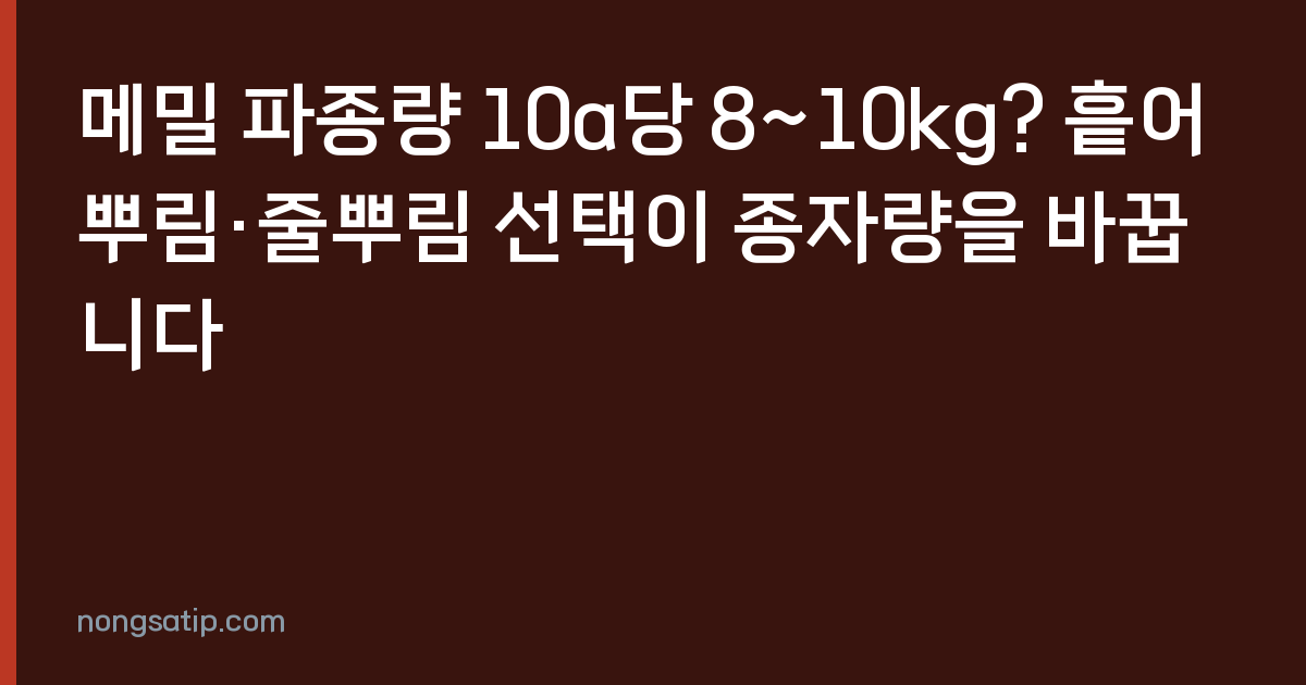 메밀 파종량 10a당 8~10kg? 흩어뿌림·줄뿌림 선택이 종자량을 바꿉니다