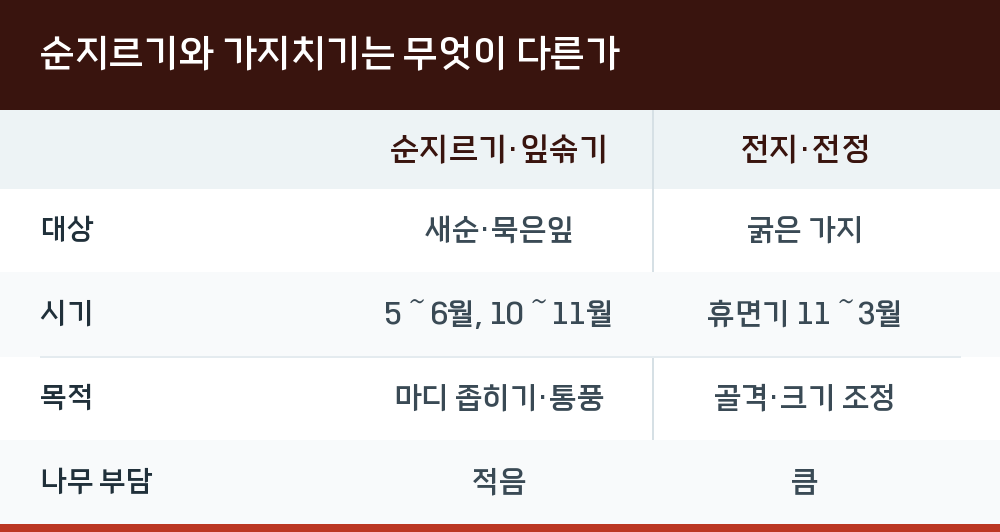 순지르기와 가지치기는 무엇이 다른가