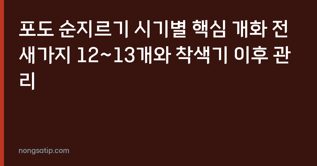 포도 순지르기 시기별 핵심 개화 전 새가지 12~13개와 착색기 이후 관리