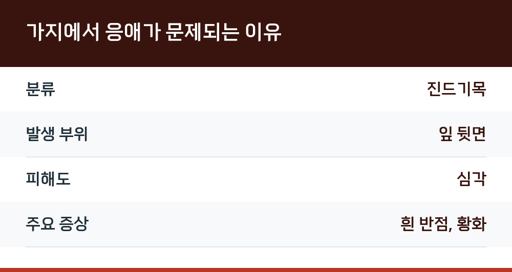 가지에서 응애가 문제되는 이유