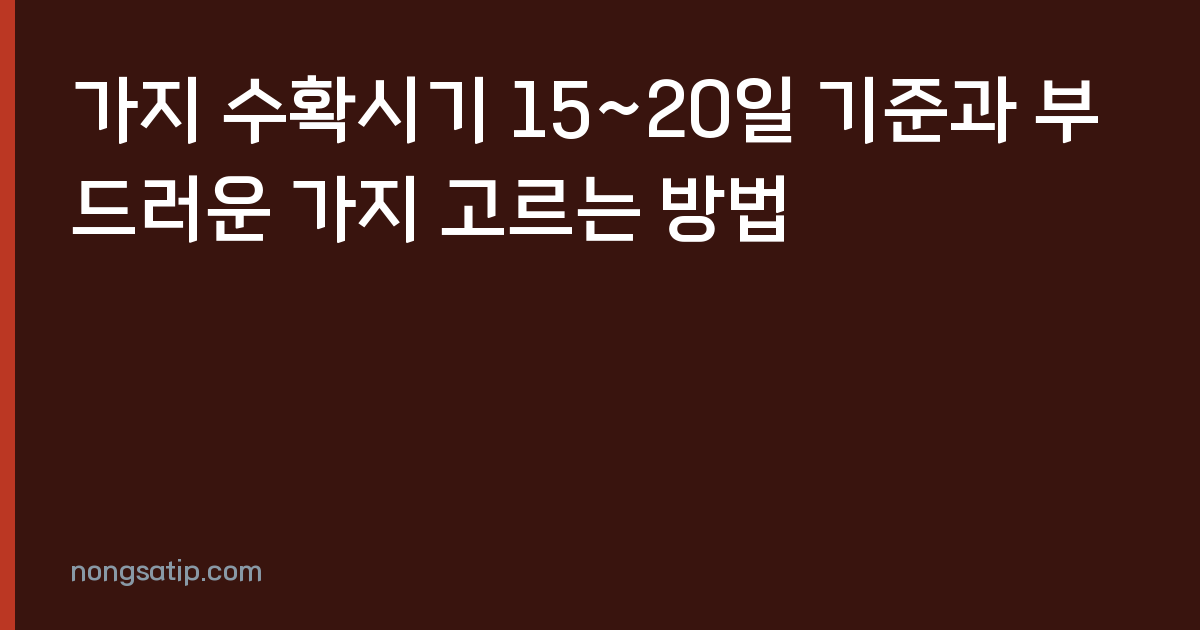 가지 수확시기 15~20일 기준과 부드러운 가지 고르는 방법