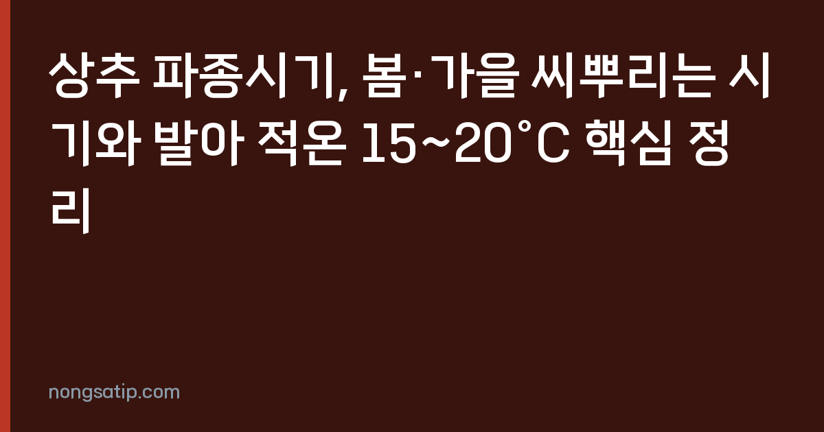 상추 파종시기, 봄·가을 씨뿌리는 시기와 발아 적온 15~20°C 핵심 정리