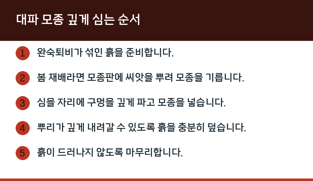 대파 모종 깊게 심는 순서
