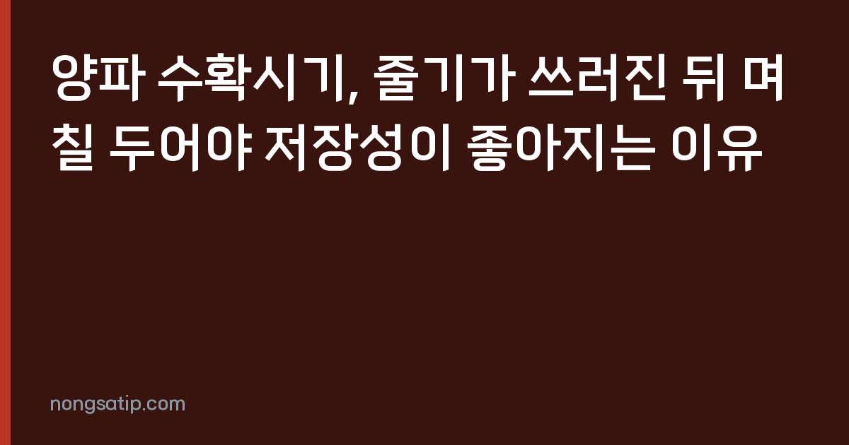 양파 수확시기, 줄기가 쓰러진 뒤 며칠 두어야 저장성이 좋아지는 이유
