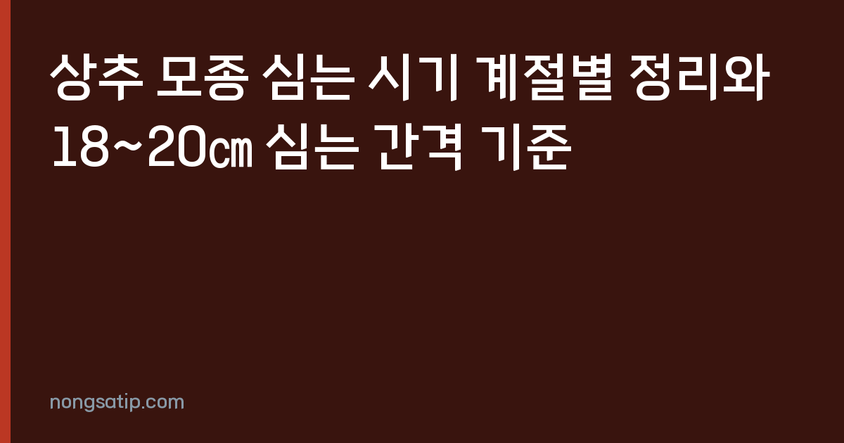 상추 모종 심는 시기 계절별 정리와 18~20㎝ 심는 간격 기준