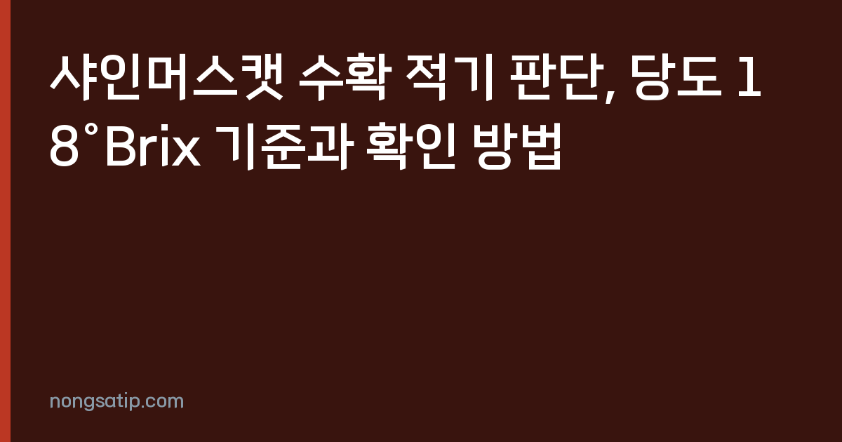 샤인머스캣 수확 적기 판단, 당도 18°Brix 기준과 확인 방법