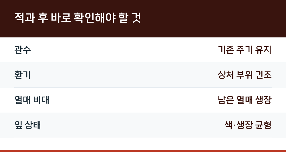 적과 후 바로 확인해야 할 것