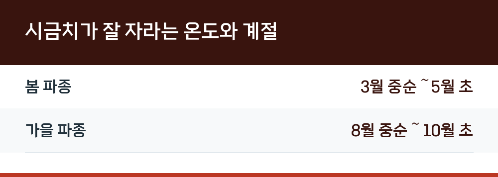시금치가 잘 자라는 온도와 계절