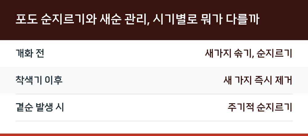 포도 순지르기와 새순 관리, 시기별로 뭐가 다를까