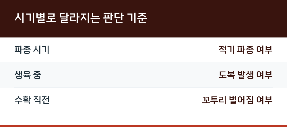 시기별로 달라지는 판단 기준