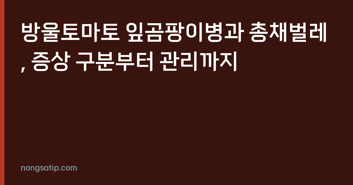 방울토마토 잎곰팡이병과 총채벌레, 증상 구분부터 관리까지