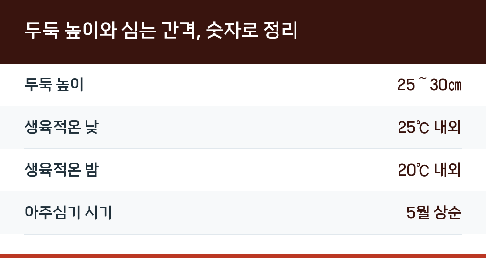 두둑 높이와 심는 간격, 숫자로 정리