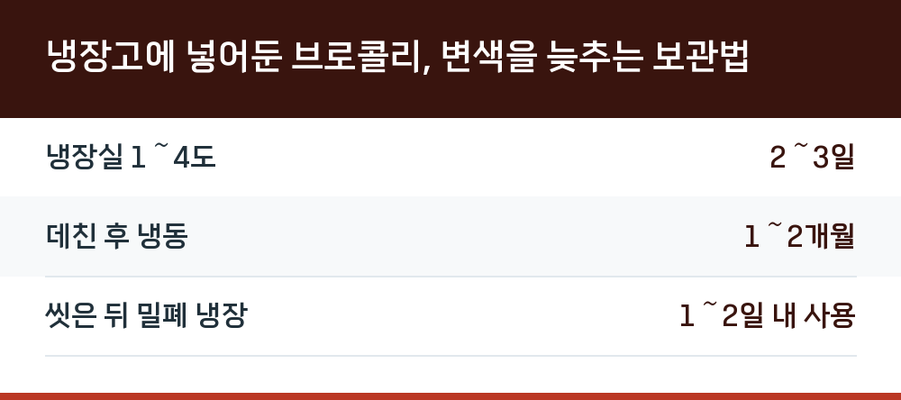 냉장고에 넣어둔 브로콜리, 변색을 늦추는 보관법