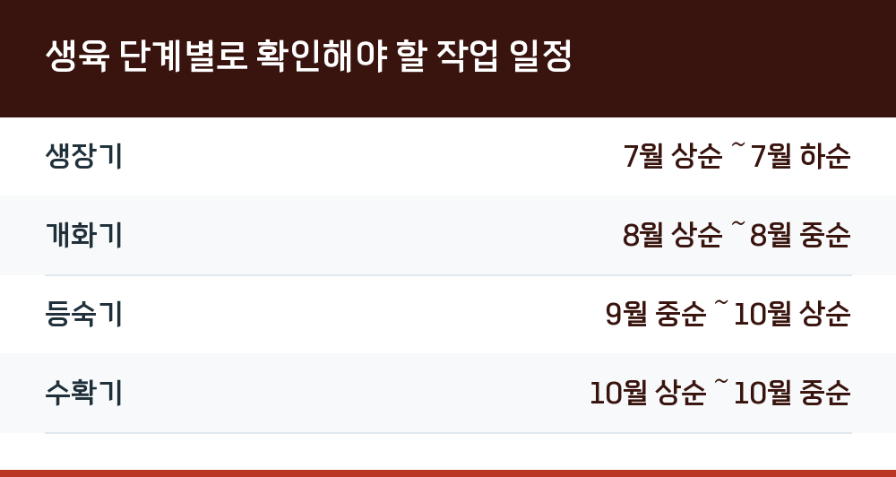 생육 단계별로 확인해야 할 작업 일정