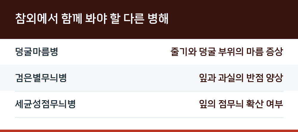 참외에서 함께 봐야 할 다른 병해