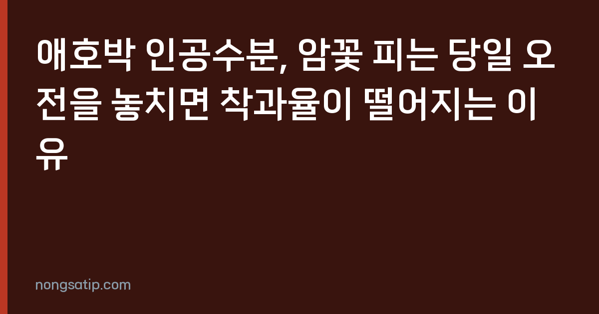 애호박 인공수분, 암꽃 피는 당일 오전을 놓치면 착과율이 떨어지는 이유