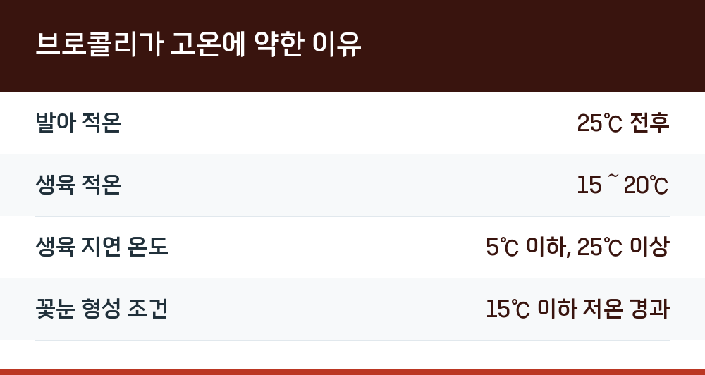 브로콜리가 고온에 약한 이유