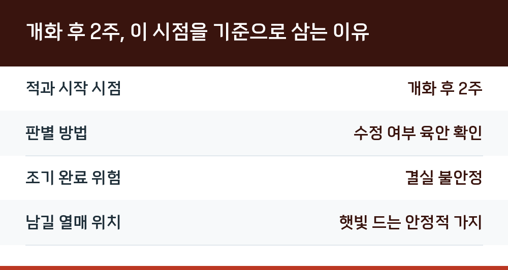 개화 후 2주, 이 시점을 기준으로 삼는 이유