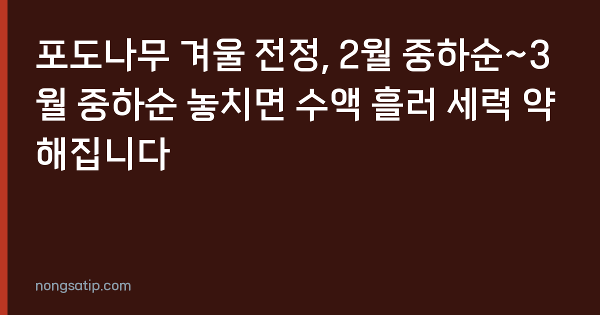 포도나무 겨울 전정, 2월 중하순~3월 중하순 놓치면 수액 흘러 세력 약해집니다