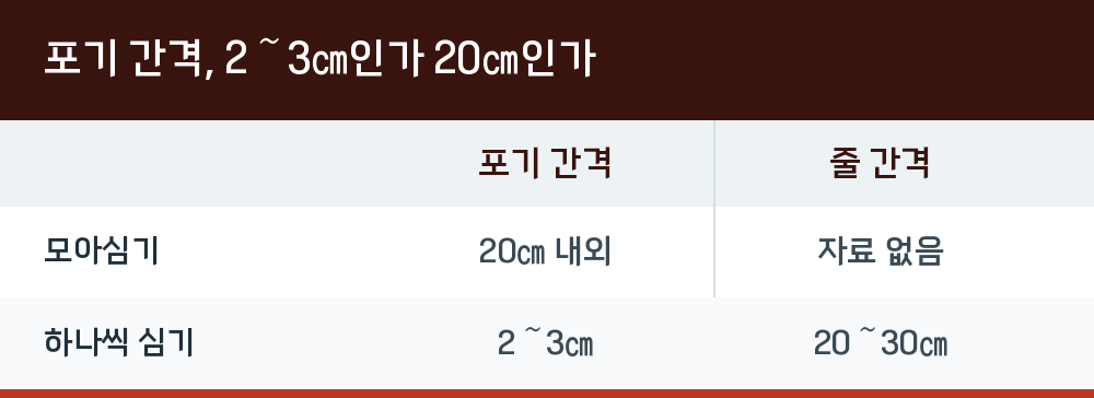포기 간격, 2~3㎝인가 20㎝인가