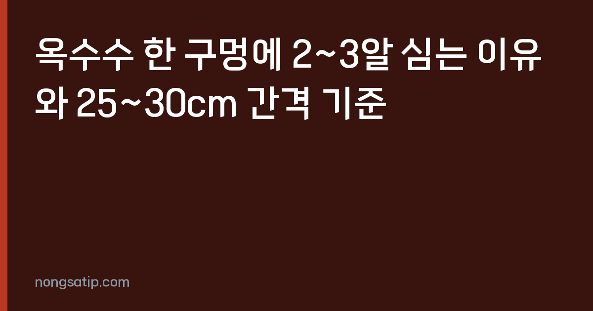 옥수수 한 구멍에 2~3알 심는 이유와 25~30cm 간격 기준
