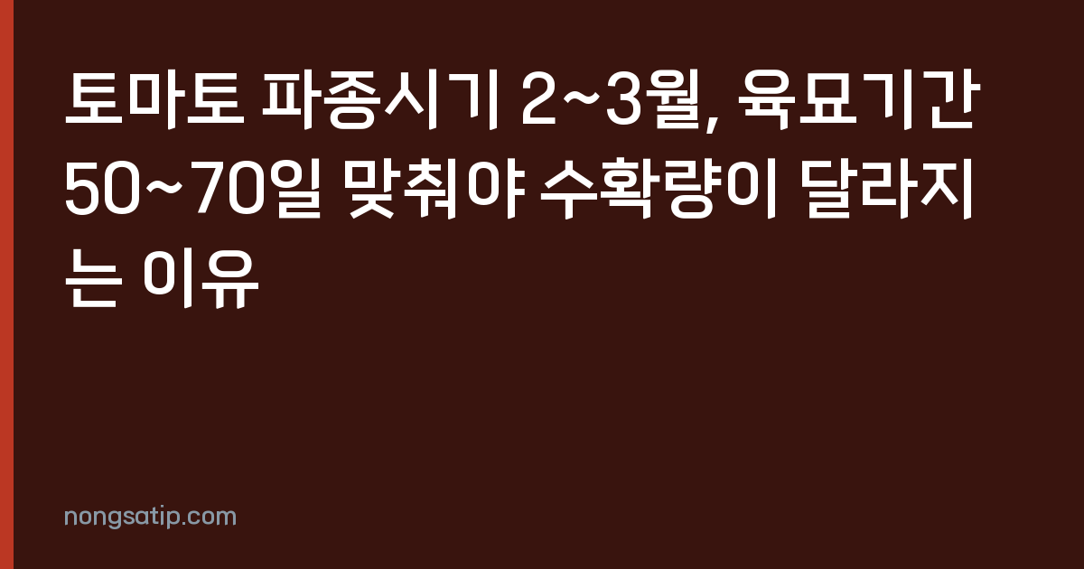 토마토 파종시기 2~3월, 육묘기간 50~70일 맞춰야 수확량이 달라지는 이유