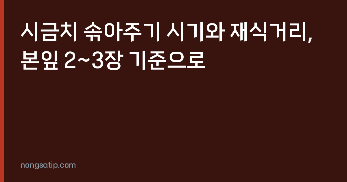 시금치 솎아주기 시기와 재식거리, 본잎 2~3장 기준으로