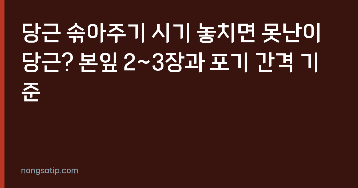 당근 솎아주기 시기 놓치면 못난이 당근? 본잎 2~3장과 포기 간격 기준