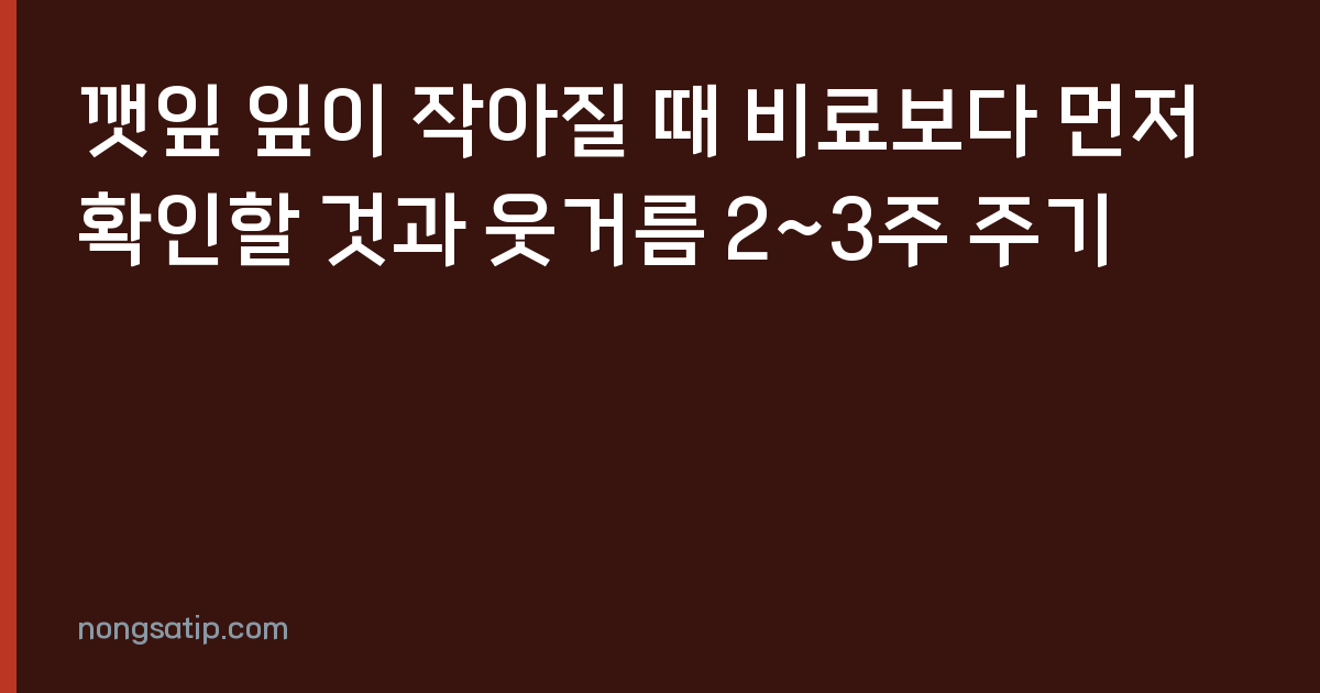 깻잎 잎이 작아질 때 비료보다 먼저 확인할 것과 웃거름 2~3주 주기