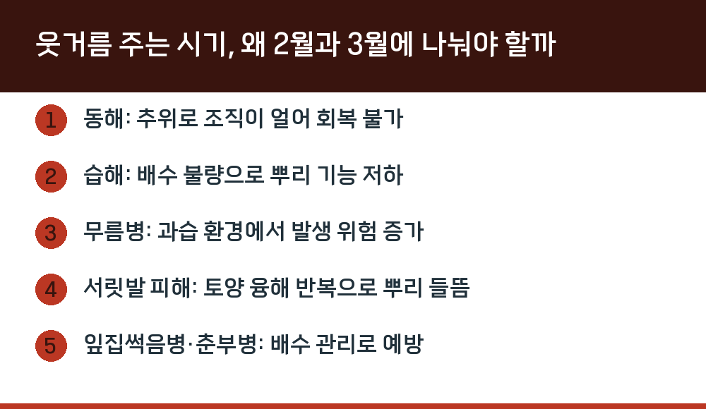 웃거름 주는 시기, 왜 2월과 3월에 나눠야 할까