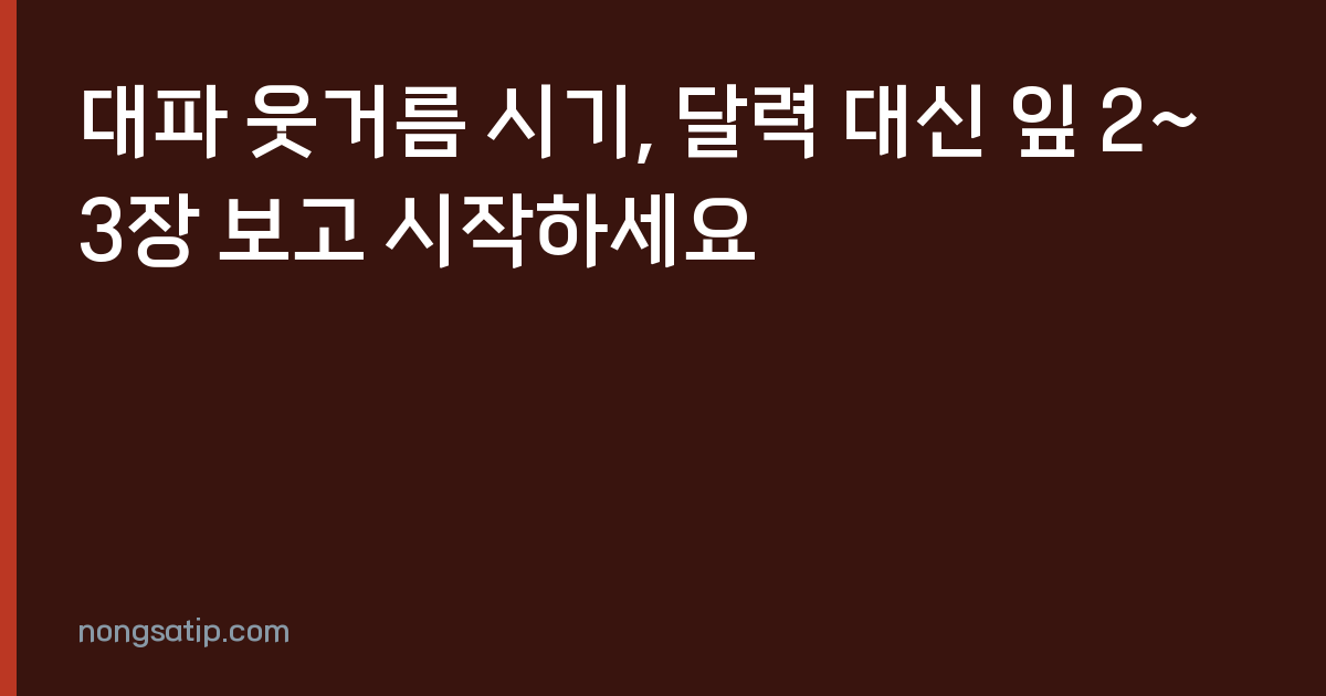 대파 웃거름 시기, 달력 대신 잎 2~3장 보고 시작하세요
